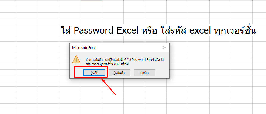 ใส่ Password Excel หรือ ใส่รหัส excel