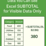 สูตร SUBTOTAL – สรุปผลเฉพาะค่าที่มองเห็น | Excel SUBTOTAL for Visible Cells Only